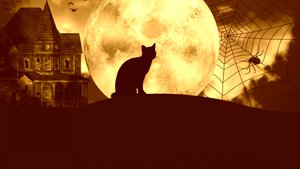 "Петрович" (жуткая история).