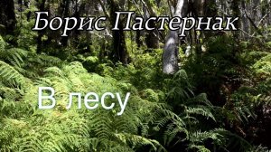 Борис Пастернак .В лесу.