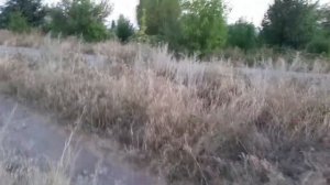 Новости Лисичанск Новодружевск,Приволье