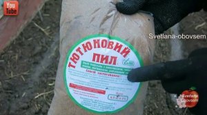 КАК ЛУЧШЕ СЕЯТЬ МОРКОВЬ БЕЗ ПРОРЕЖИВАНИЯ.ПОШАГОВО. ПРОСТО КАК ДВАЖДЫ ДВА!СЕКРЕТ ОГОРОДНИКОВ РАСКРЫТ