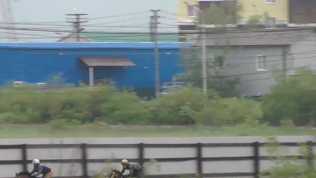 Тренинг скаковых лошадей. Дистанция 1800 м. Кэрэл смотреть онлайн