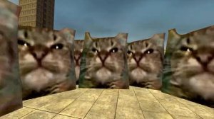 Кит, ты маму мав?