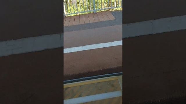 Станция Трудовая,МЦД 1