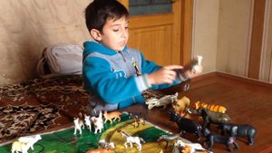 Мои игрушечные животные