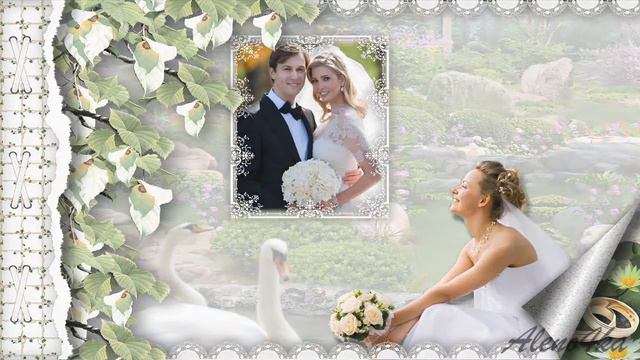 Свадебное слайд шоу на заказ Proshow Producer project Wedding Swans YouTube смотреть онлайн
