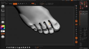 Anat Vol 03 08  Fingers Details 1 2