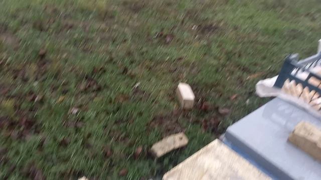 Контроль кормов, раздаем пчелам медовые лепешки смотреть онлайн