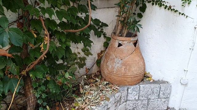 Турция. МАРМАРИС. Самые красивые и интересные  места ! Что посмотреть в городе. Прогулка.