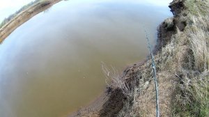 Рыбалка на реке Быстрый Танып. Клев чехони удивил!