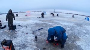 Рыбалка в черте города!!!Параниха  Северодвинск
