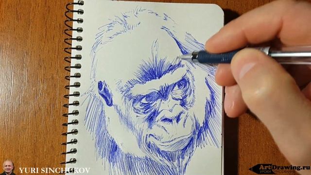 Рисую Гориллу шариковой ручкой смотреть онлайн
