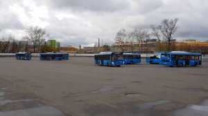 Показательное выступление ГУП Мосгортранс на машинах  Лиаз 4292