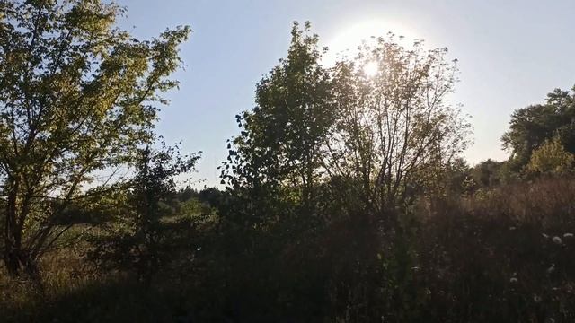 ПОЧЕМУ НЕЛЬЗЯ ГОВОРИТЬ ЭТИ СЛОВА... народные приметы и поверья
