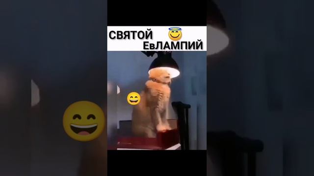 Непростой котэ