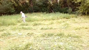 Четырёх тактная бензокоса- триммер  Honda, заготовка сена на зиму.