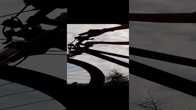 что делать с великом после зимы