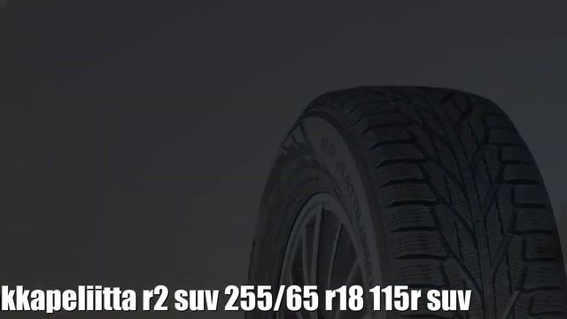 Зимние шины nokian hakkapeliitta r2 suv 255/65 r18 115r suv Отзывы Обзор смотреть онлайн