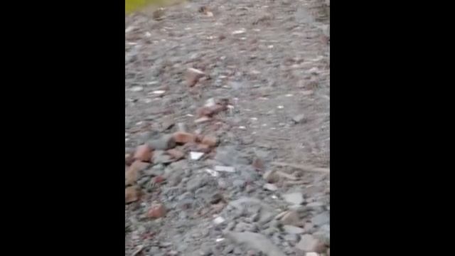 Дорогу между Новочеркасском и хутором Киров превратили в свалку строительного мусора смотреть онлайн