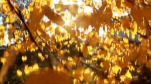 Осень в городе - осенний город прекрасен!