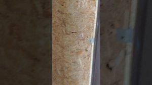 Гараж из сэндвич панелей на металлическом каркасе