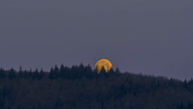 Волшебное полнолуние 28 января 2021 года. Какие ритуалы можно сделать в этот день.