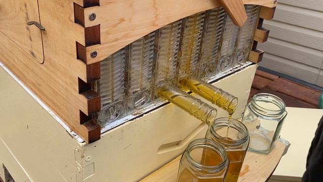 COLLECT HONEY FROM AUSTRALIAN FLOW HIVE - СЛИВ МЕДА ИЗ АВСТРАЛИЙСКОГО УЛЬЯ. - 75 смотреть онлайн