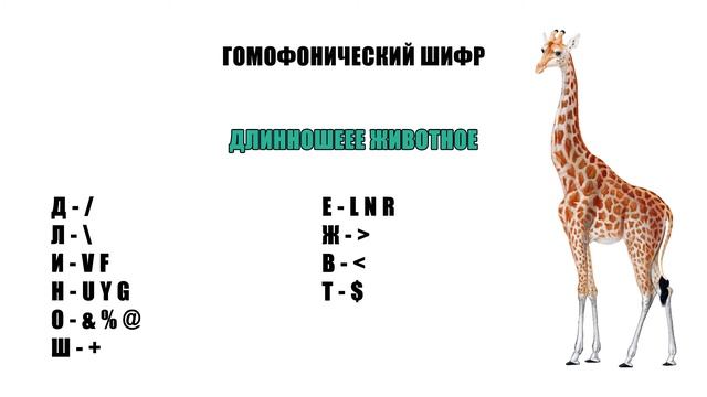 Алгоритмы шифрования. Криптография. RSA алгоритм. Шифровка Простые числа Информационная безопасност