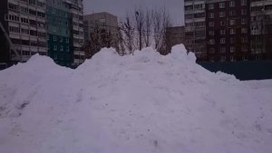 Ямаха мультипурпоза и Ямаха профессионал