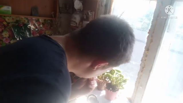 Винегрет жизни смотреть онлайн