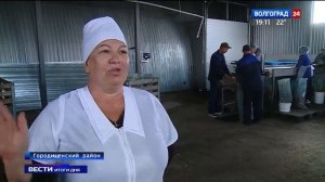 Волгоградский сельхозкооператив расширяет рынок сбыта солений