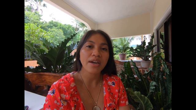 My Wave of Love/Anthurium Plowmanii Croat Collection and Care Tips / How to Care Wave of Love Plant смотреть онлайн