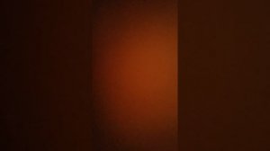 Думитру Дудуману  об Америке