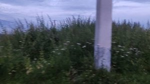 Деревня Позднякова