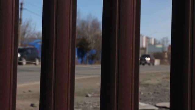 Выезд с города. Колтушское шоссе. смотреть онлайн