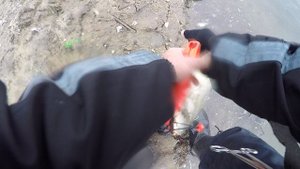 СОМ НА ПЕНКУ! Рыбалка весной на МОСКВА--РЕКЕ.