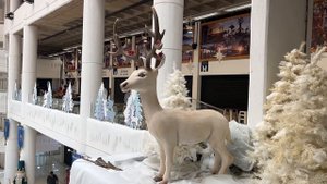 ПЕРВОЕ ВПЕЧАТЛЕНИЕ О ТЕНЕРИФЕ? | ЧТО МОЖНО ПОПРОБОВАТЬ И УВИДЕТЬ НА КАНАРАХ? ТЕНЕРИФЕ 2022