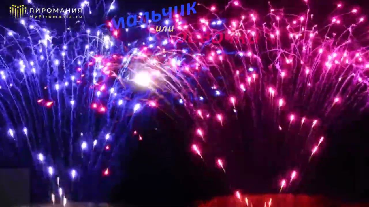 Салют на гендерпати "Звездный путь" смотреть онлайн