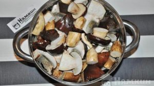 Маринованные польские грибы на зиму с уксусом в банках