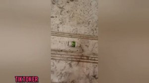 Bottle Rolling Down Stairs ASMR ? TikTok Compilation #6