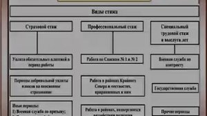 Как узнать свой трудовой стаж через Госуслуги