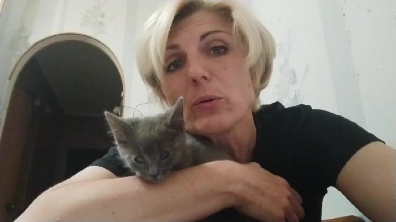 Алла Булычева, волонтер приюта бездомных животных ЮЗАО "Щербинка",  о себе и о помощи бездомышам..