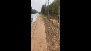 Джили Атлас реальное ДТП с уходом с трассы и встреча с деревьями