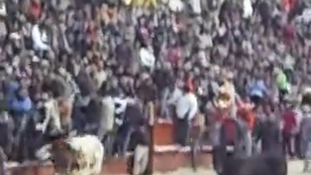 Carnaval Del toro - Ciudad Rodrigo ( Vid.5) смотреть онлайн