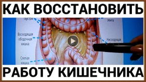 КАК ВОССТАНОВИТЬ РАБОТУ КИШЕЧНИКА.mp4