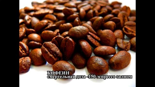 ДОЗЫ, КОТОРЫЕ МОГУТ БЫТЬ СМЕРТЕЛЬНЫМИ ДЛЯ ЧЕЛОВЕКА смотреть онлайн