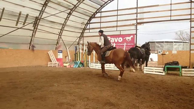 Санадар-бесстрашный конь смотреть онлайн