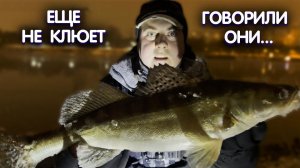 ПОШЛА ЖАРА!!! СУДАК на воблер, МОСКВА река! Зимний спиннинг. Ловля ночного судака.