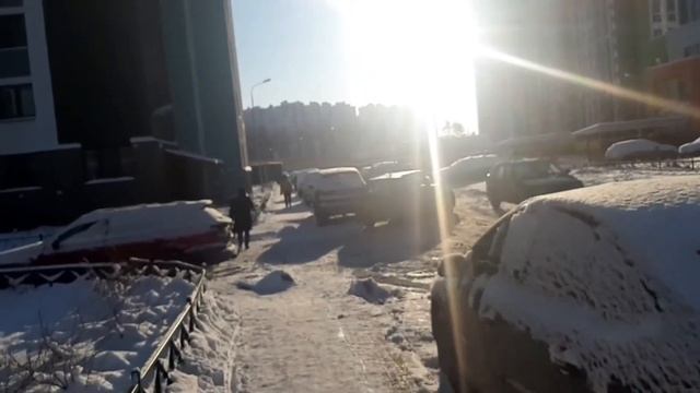 Автомобильный рынок в Санкт-Петербурге. Где и как купить автомобиль? Покупка автомобиля в Питере.