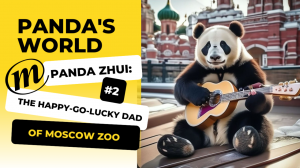 Panda Zhui_ The Happy-Go-Lucky Dad of Moscow Zoo