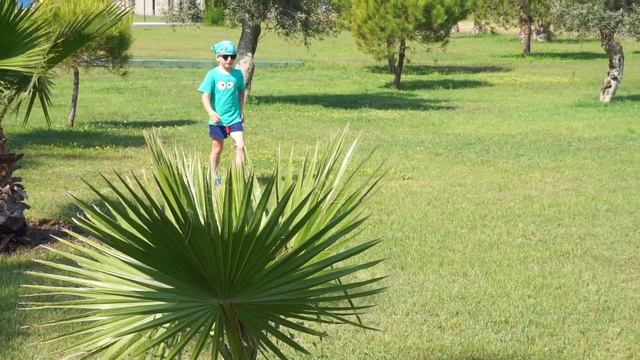 РОЗОВЫЙ ФЛАМИНГО смотреть онлайн